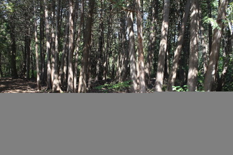 Enlarge photo 24
