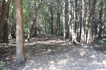 Enlarge photo 17