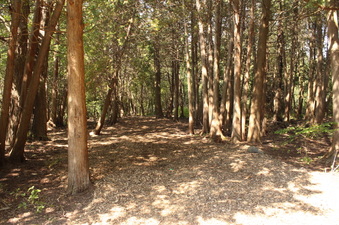 Enlarge photo 19