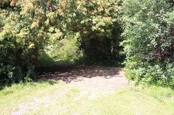Enlarge photo 20