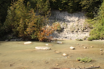 Enlarge photo 28