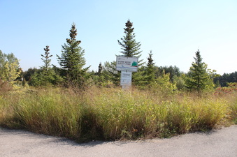 Ford (Shadow & Shadow)