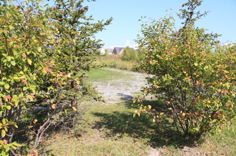 Enlarge photo 8