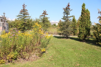 Enlarge photo 9