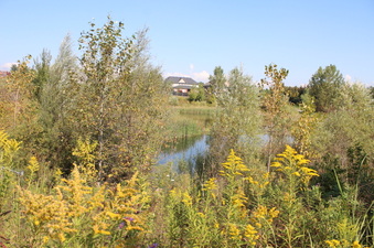 Enlarge photo 10