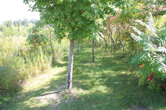 Enlarge photo 11
