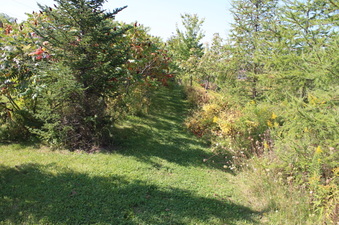 Enlarge photo 13