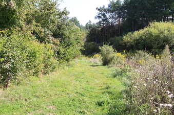 Enlarge photo 14