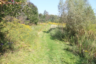Enlarge photo 16