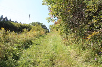 Enlarge photo 17