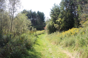 Enlarge photo 18