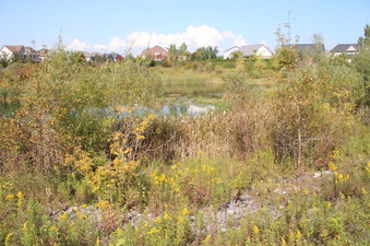 Enlarge photo 20