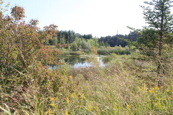 Enlarge photo 22