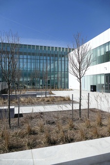 Enlarge photo 35