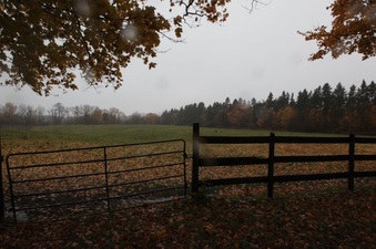 Enlarge photo 2