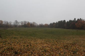 Enlarge photo 3