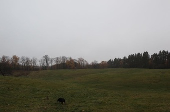 Enlarge photo 10