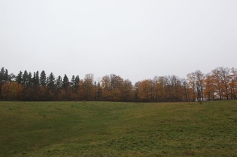 Enlarge photo 13