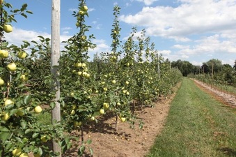 Enlarge photo 12
