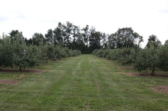 Enlarge photo 13