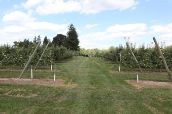 Enlarge photo 14