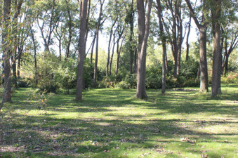 Enlarge photo 3