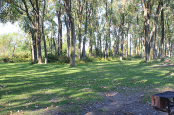 Enlarge photo 5
