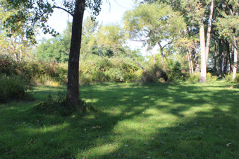 Enlarge photo 8