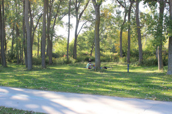 Enlarge photo 13