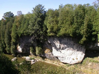 Enlarge photo 3