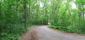 Glamping Sites