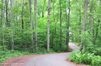 Enlarge photo 2