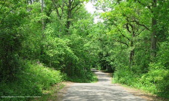 Enlarge photo 10