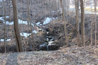 Tiffany Falls