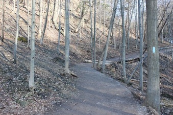 Enlarge photo 4