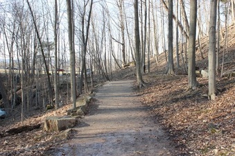 Enlarge photo 5