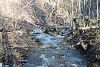 Enlarge photo 8