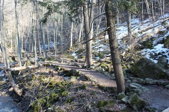 Enlarge photo 9