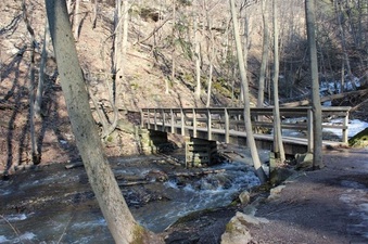 Enlarge photo 11