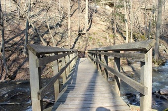 Enlarge photo 12