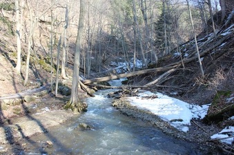 Enlarge photo 13