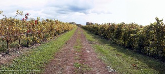 Enlarge photo 12
