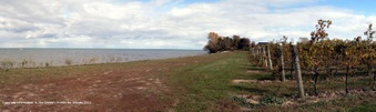 Enlarge photo 13