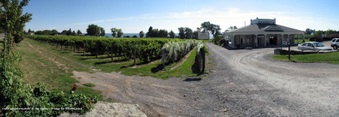 Waupoos Estates Winery