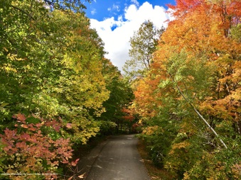 Hyundai 2020 (Radke)