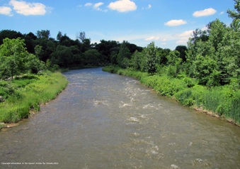 Enlarge photo 34
