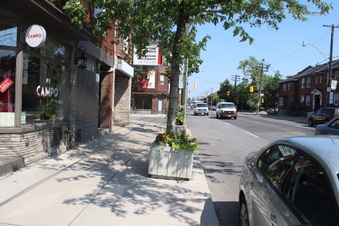 245 jane street