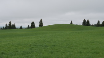 Lincoln (Fullserve Productions)