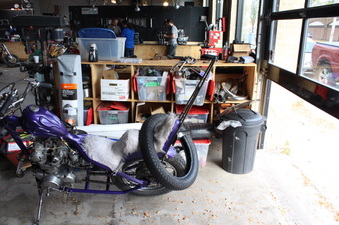 Enlarge photo 19