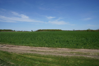 St Andrews Road (Caledon)